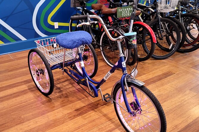 2-Hour Explore Savannah Bike Tour - Johnson Square: How Savannah’s Founder’s City Plan Shows Up