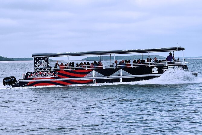 2 Hours Dolphin Eco Tour - Drinks, snacks, and BYOB: plan for comfort
