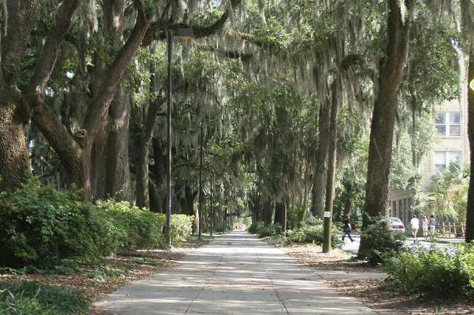 A Walk Through The Book "Midnight in the Garden of Good and Evil" - Walking Time, Starting Point, and How to Fit It Into Your Day