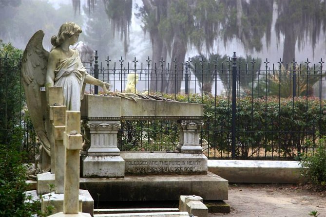 Bonaventure Cemetery Private Day Tour with Shannon Scott - Weather Matters More Than You Think