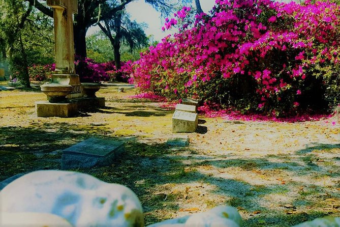 Bonaventure Cemetery Scenic History Art Symbols and Film Tour - Graves, Names, and Scenes: The Stops That Anchor the Tour