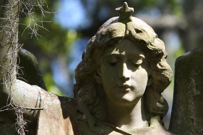 Bonaventure Cemetery Walking Tour with Transportation - Why Bonaventure feels different with a historian and a van