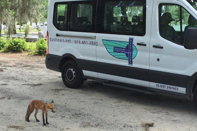Bonaventure Cemetery Walking Tour with Transportation - Who this tour is best for