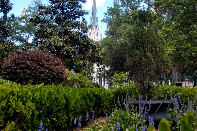 Botanical Tour (by Walk With Me Savannah Tours) - Andrew Low House Garden: Juliette Gordon Low’s Camellias and Crepe Myrtle