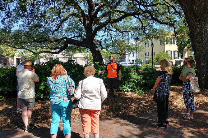 Botanical Tour (by Walk With Me Savannah Tours) - Forsyth Park Finale: Live Oaks, Resurrection Fern, and the Scent Garden