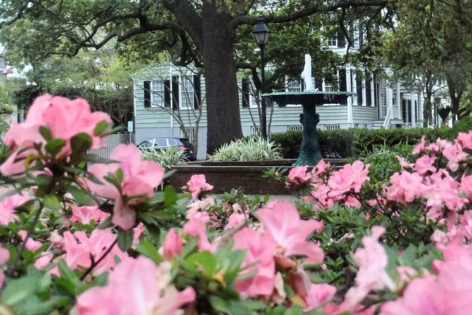 Botanical Tour (by Walk With Me Savannah Tours) - Price, Pace, and Value for $40