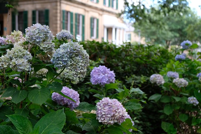 Botanical Tour (by Walk With Me Savannah Tours) - Route Overview: Two Hours Through Downtown’s Green Rooms