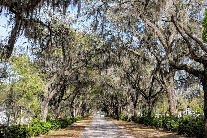 Custom Savannah Private Tour - Hotel pickup within 5 miles of Downtown Savannah