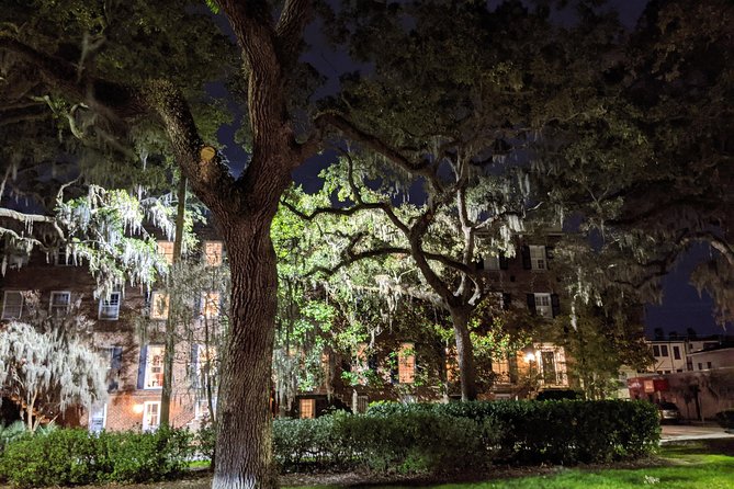 Fraidy Cat: The Family Fun Ghost Tour of Savannah - Oglethorpe Square: Quick, Active, and Still Haunted
