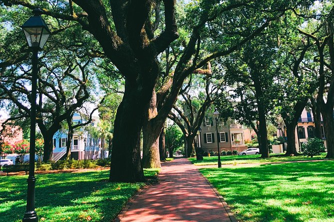 Genteel and Bard's Savannah History Walking Tour - Stop 5: Savannah Historic District, Jones Street, and Live Oak Brick Street