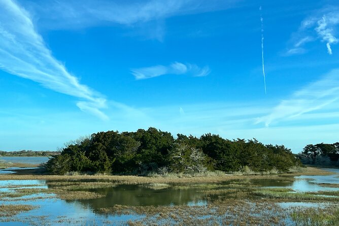 Historic Tour of Tybee Island - Price Check: Is $37 a Good Deal for Tybee Sightseeing?