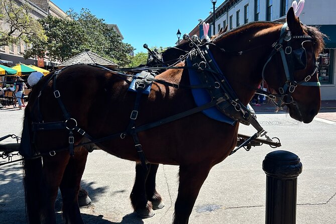 Horse Drawn Daytime Group Narrated Historic Overview Tour - Key Highlights You’ll Actually Care About