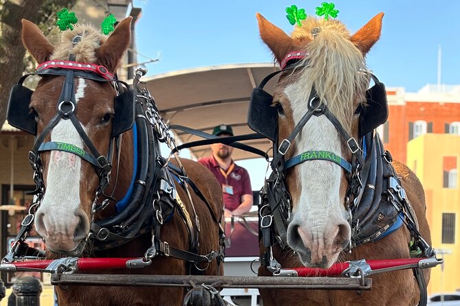 Horse Drawn Daytime Group Narrated Historic Overview Tour - A Horse-Drawn Reset in Savannah’s Historic Core