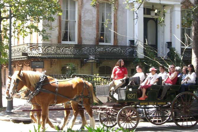 Horse Drawn Daytime Group Narrated Historic Overview Tour - Forsyth Park, Chippewa Square, and the Squares You’ll Want to Revisit