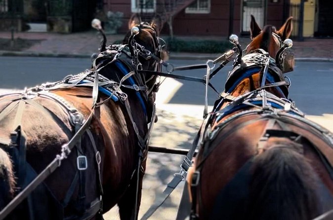 Horse Drawn Daytime Group Narrated Historic Overview Tour - Listening to the Guide: Humor, Stories, and Hearing Tips