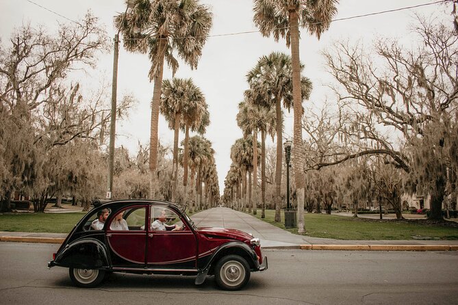 Private Historic Savannah Tour in a Vintage Citroën - Telfair Academy and Jepson Center: Museums You Can See From the Street