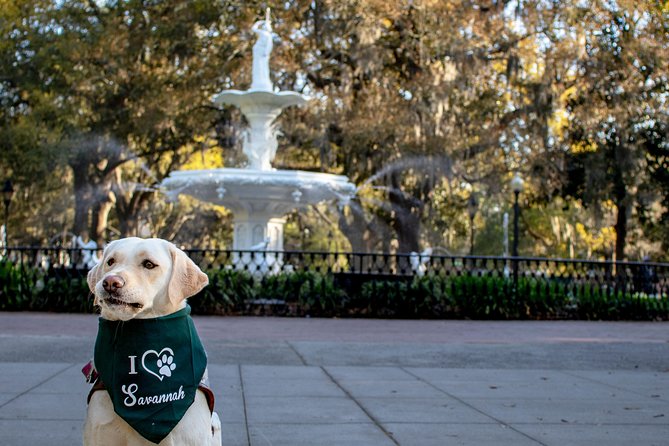 Private Photoshoot in Savannah, GA - Downtown squares and portrait posing that feels natural
