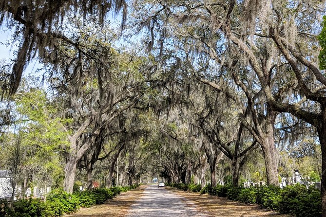 Private Tour of Savannah's Historic/Victorian Districts & Bonaventure Cemetery - Savannah’s 22 squares from the car, then the Victorian District
