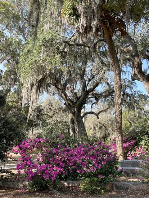 Savannah: Bonaventure Cemetery Golf Cart Guided Tour - Key reasons this golf cart tour works so well
