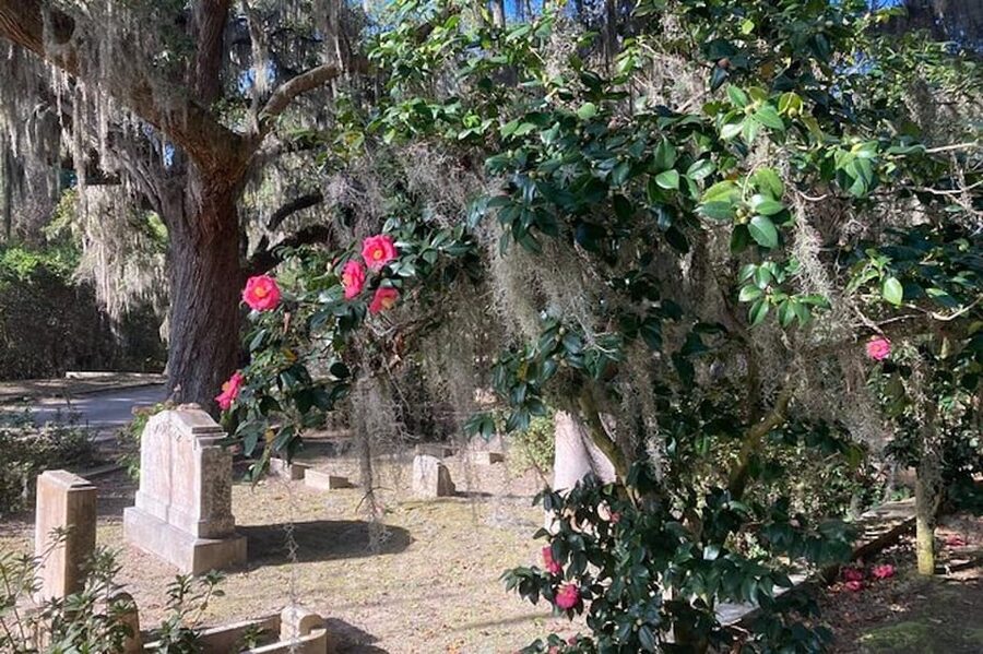 Savannah: Bonaventure Cemetery Golf Cart Guided Tour - Price and value: is $38 for an hour worth it?