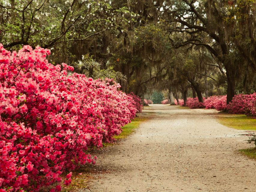 Savannah: Bonaventure Cemetery Tour - Price and value: is $36 a fair deal for 2 hours?