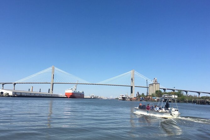 Savannah Coastal Dolphin Eco Tour - Key things to know before you board