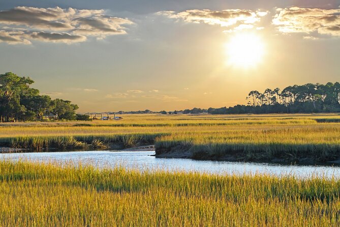 Savannah Coastal Dolphin Eco Tour - Getting from Westin Savannah Harbor to the waterway