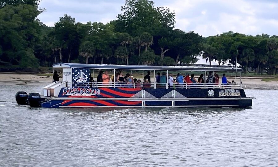 Savannah: Dolphin Spotting and Wildlife Eco Cruise - What you’ll learn: marsh ecosystems and why the port matters