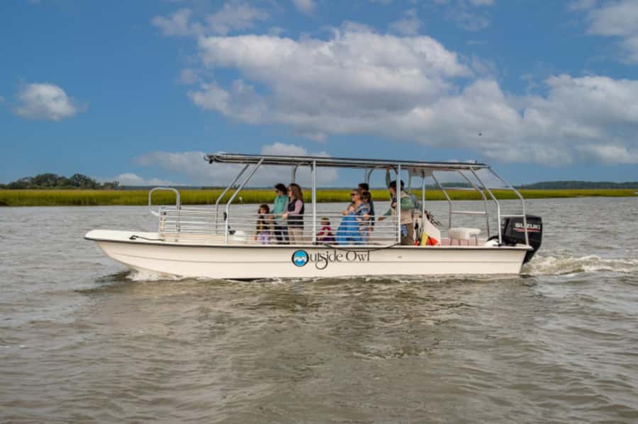 Savannah: Dolphin Spotting Eco Tour with Experienced Captain - Dolphin Spotting: The Parts You Can Control (and the Ones You Can’t)