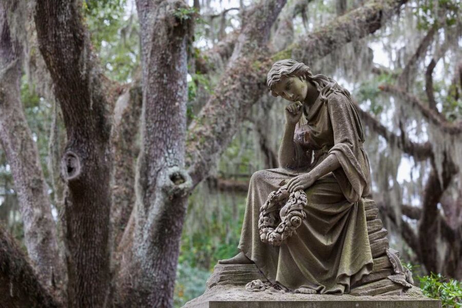 Savannah: Full Admission Tour Pass for 30+ Tours - The real value question: is $125 worth it for your day?