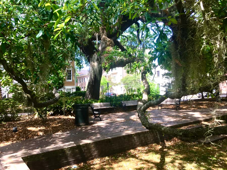 Savannah: Highlights Off the Beaten Path Guided Walking Tour - Forsyth Park Start: Quick Orientation for Your 2-Hour Walk