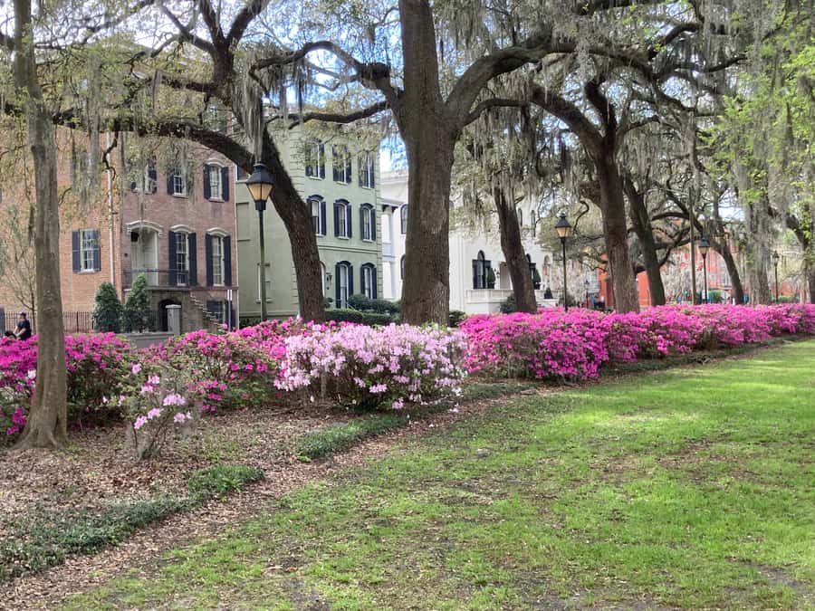 Savannah: Highlights Off the Beaten Path Guided Walking Tour - Savannah’s Ironwork Route: Cast, Woven, Wrought, and Gates You’ll Notice
