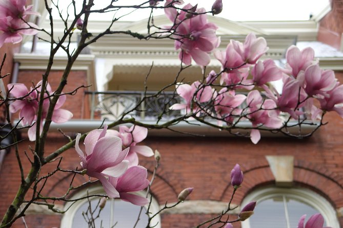 Savannah Historic District Walking Tour - City Market Stroll: A Commercial Neighborhood With a Story Behind It