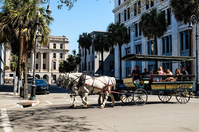 Savannah Historic Downtown Donut & Sweet Treats Adventure - Wright Square: The Monument and the Giant Boulder Moment