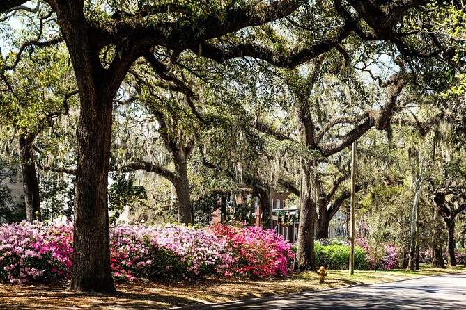 Savannah Historic Downtown Donut & Sweet Treats Adventure - What the Tour Includes for $65: Treats, Water, and Story Time