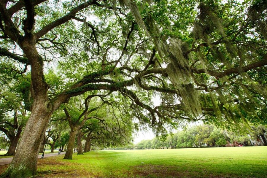 Savannah: Historical Panoramic City Tour - The guide makes or breaks it: what Max, Ben, Kathleen, and Brenda bring