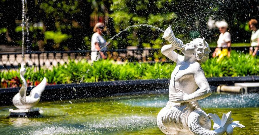 Savannah: History and Culture Walking Tour - Starting at Warren Square: Getting Oriented Fast