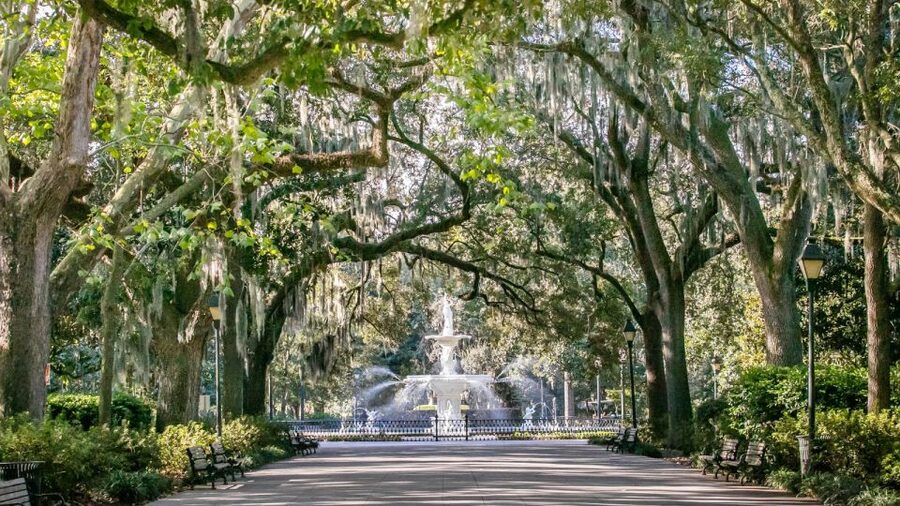 Savannah: History, Culture, & Scenic Views E-Bike Tour - Why an E-Bike Makes Savannah Feel Effortless