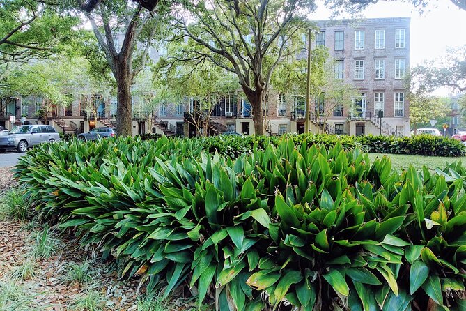 Savannah Irish History Walking Tour - Key Points You’ll Actually Care About