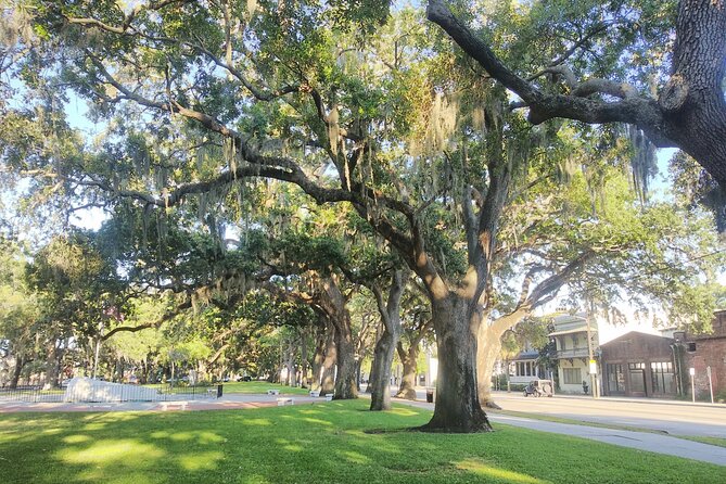 Savannah Irish History Walking Tour - Warren Square: Irish History Behind a Place You’ve Probably Walked Past