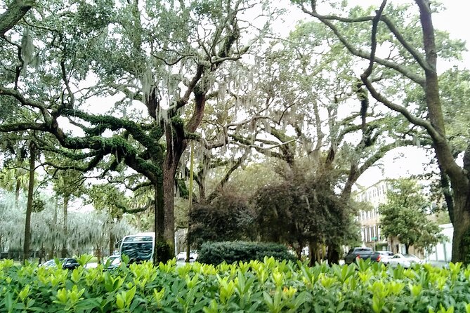 Savannah Irish History Walking Tour - Washington Square: The Old Fort Area Connection