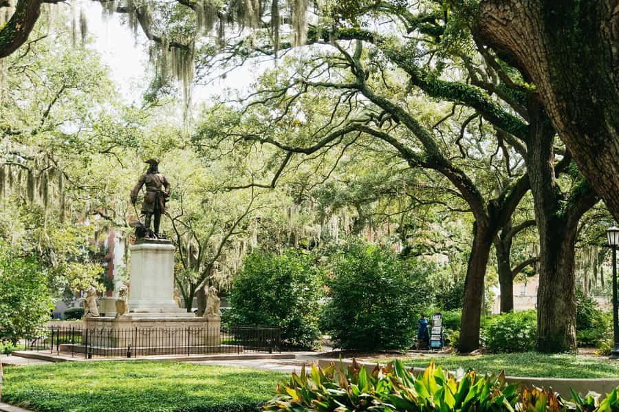 Savannah: Old Savannah Tours Historic Overview - Comfort, heat, and open windows: the real-world pros and cons