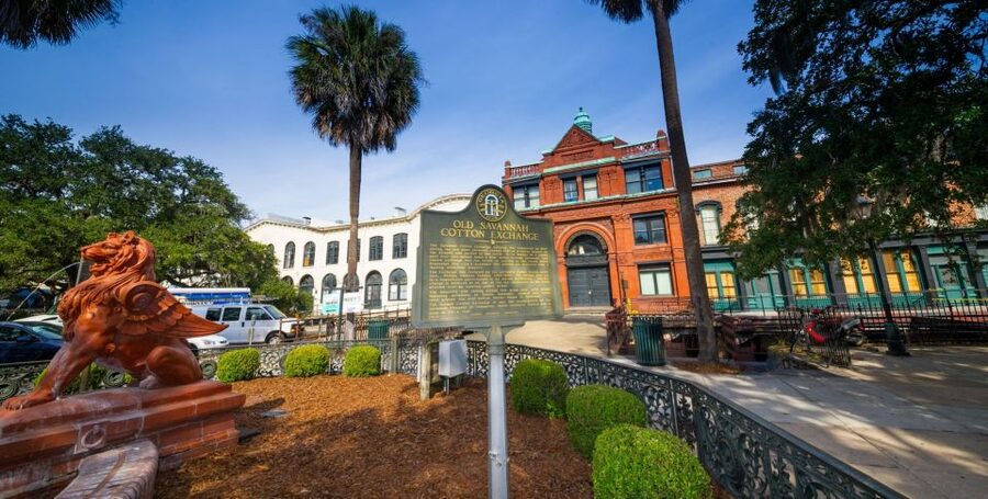 Savannah: Old Town Hop-On Hop-Off Trolley Tour - Who this tour suits best (and who should think twice)
