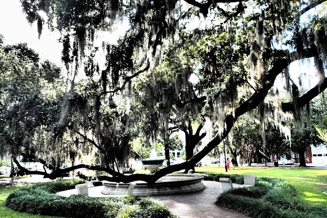 Savannah Scavenger Hunt Adventure - Savannah City Hall: get your bearings fast