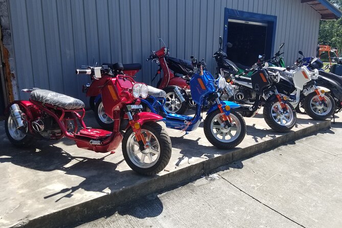 Savannah Scooter and Trike Rental with Helmet - Parking and traffic tips that keep the ride fun (not stressful)