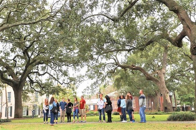 Savannah Southern Fried Expectations Walking Food Tour - Price and Value: Is $92 Worth It?