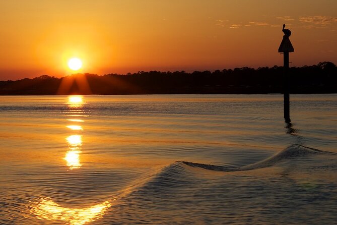 Savannah Sunset Dolphin Eco Tour - From Westin Savannah Harbor to the Atlantic Intracoastal Waterway