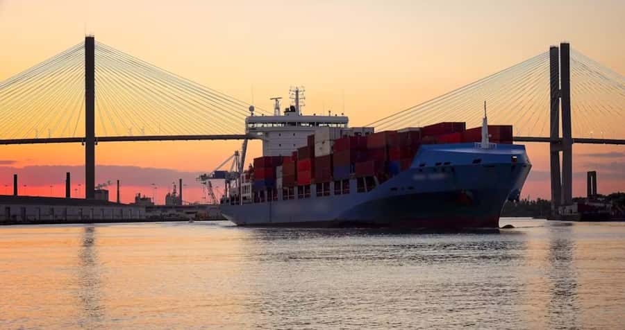 Savannah: Sunset Dolphin Watching Eco Tour by Boat - Key highlights you should know before you go