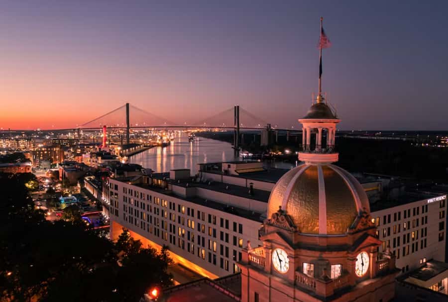 Savannah: Sunset Dolphin Watching Eco Tour by Boat - Spotting bottlenose dolphins and Lowcountry birds in real time