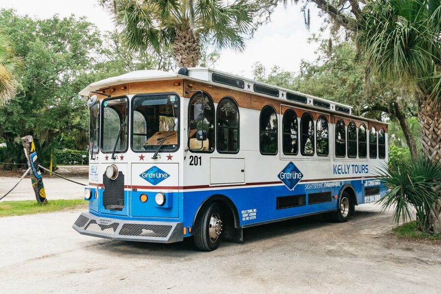 Savannah: Tybee Island Dolphin Tour - On the water: what a bottlenose dolphin cruise feels like